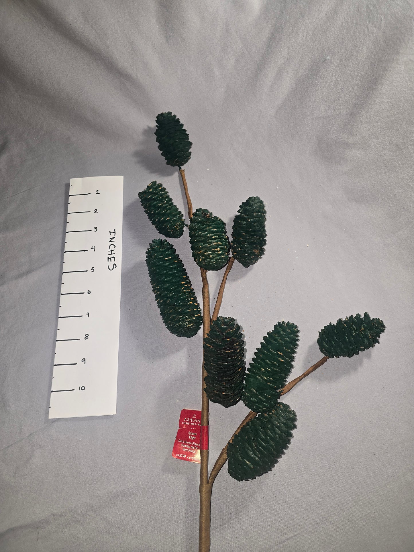 Ashland Dark Green Pinecone Stem