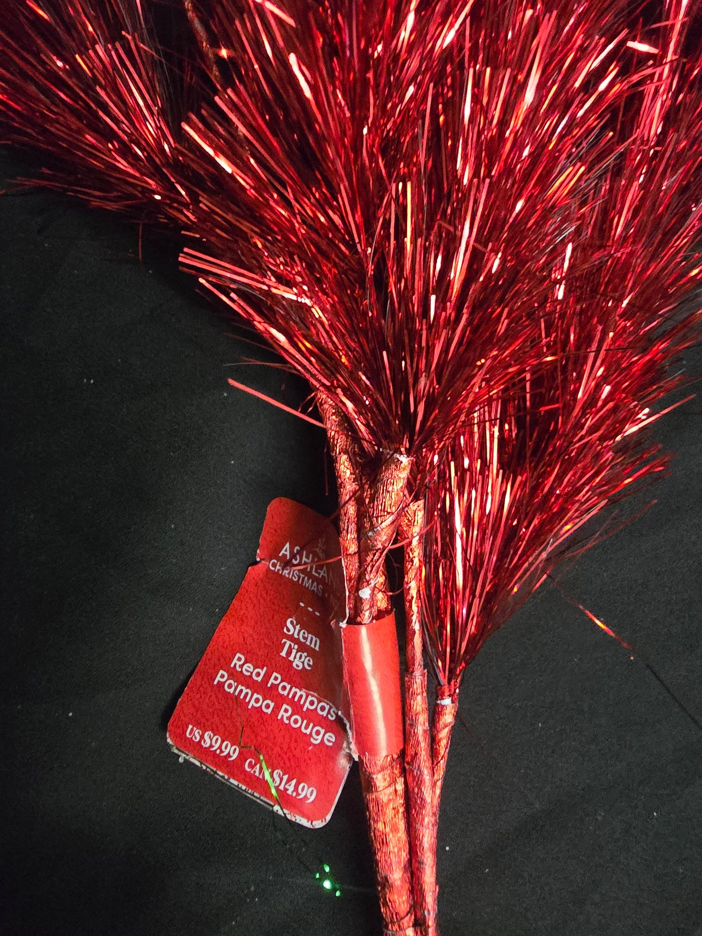 Ashland Red Pampas Stem