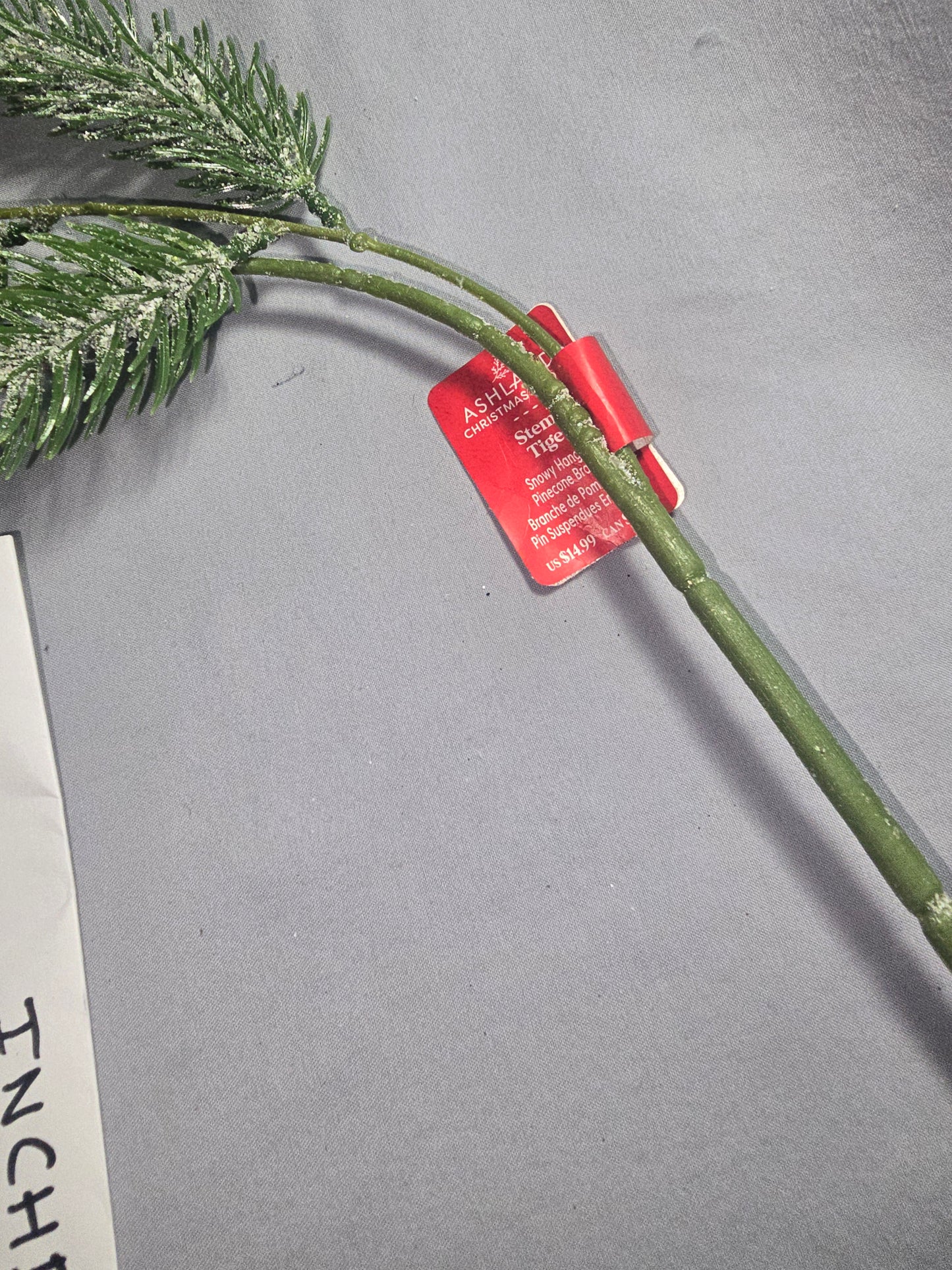 Ashland Snowy Hanging Pinecone Branch