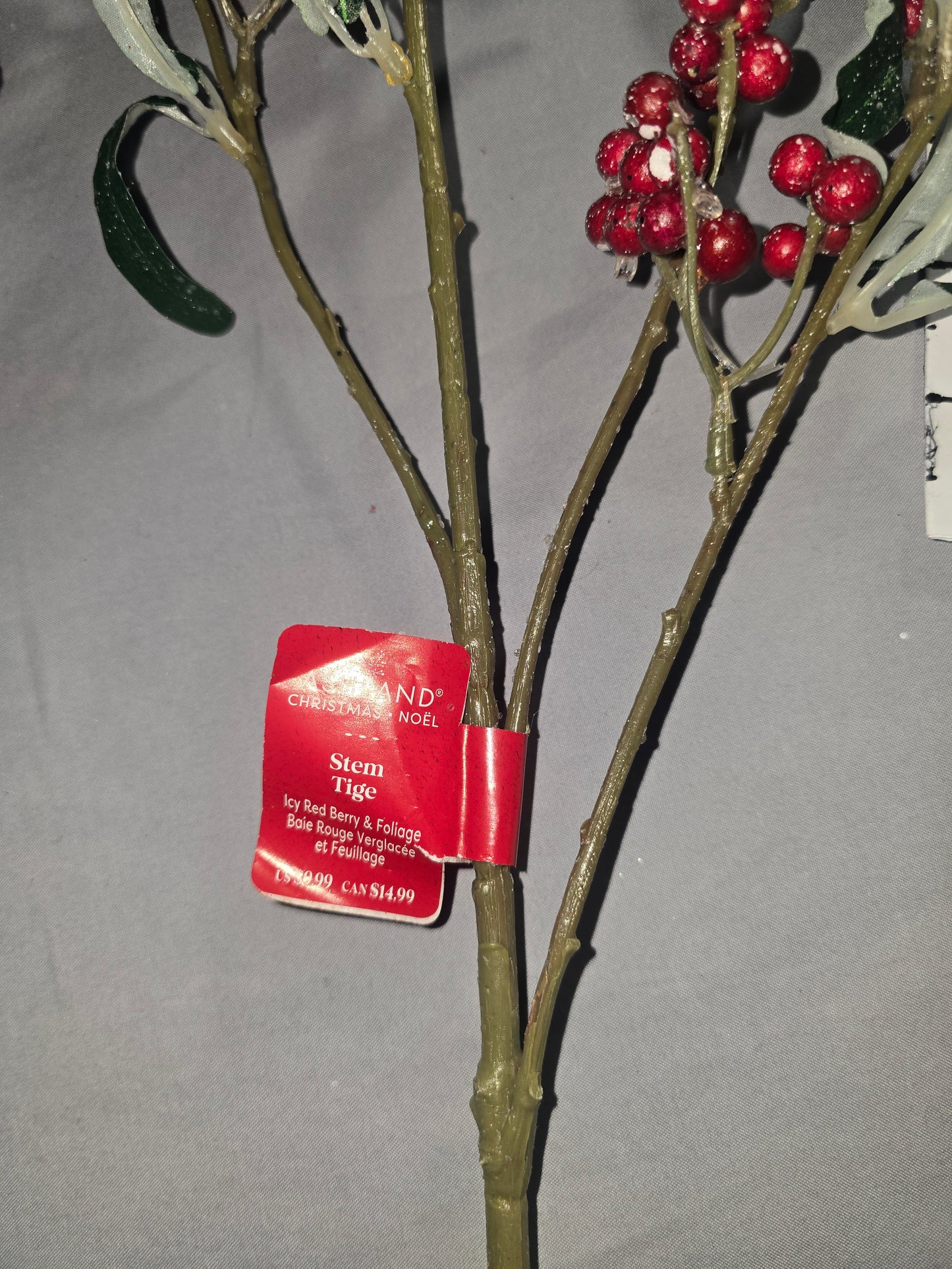 Ashland Icey Red Berry Stem