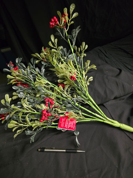 Ashland Mistletoe w/ Red Berry Bush