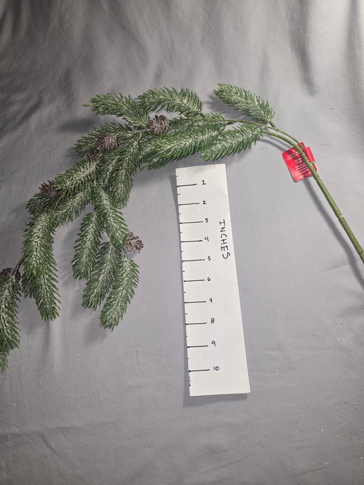 Ashland Snowy Hanging Pinecone Branch