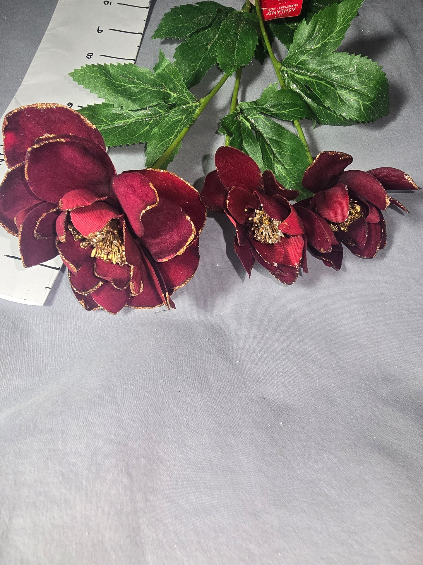 Ashland Dark Red Anemone