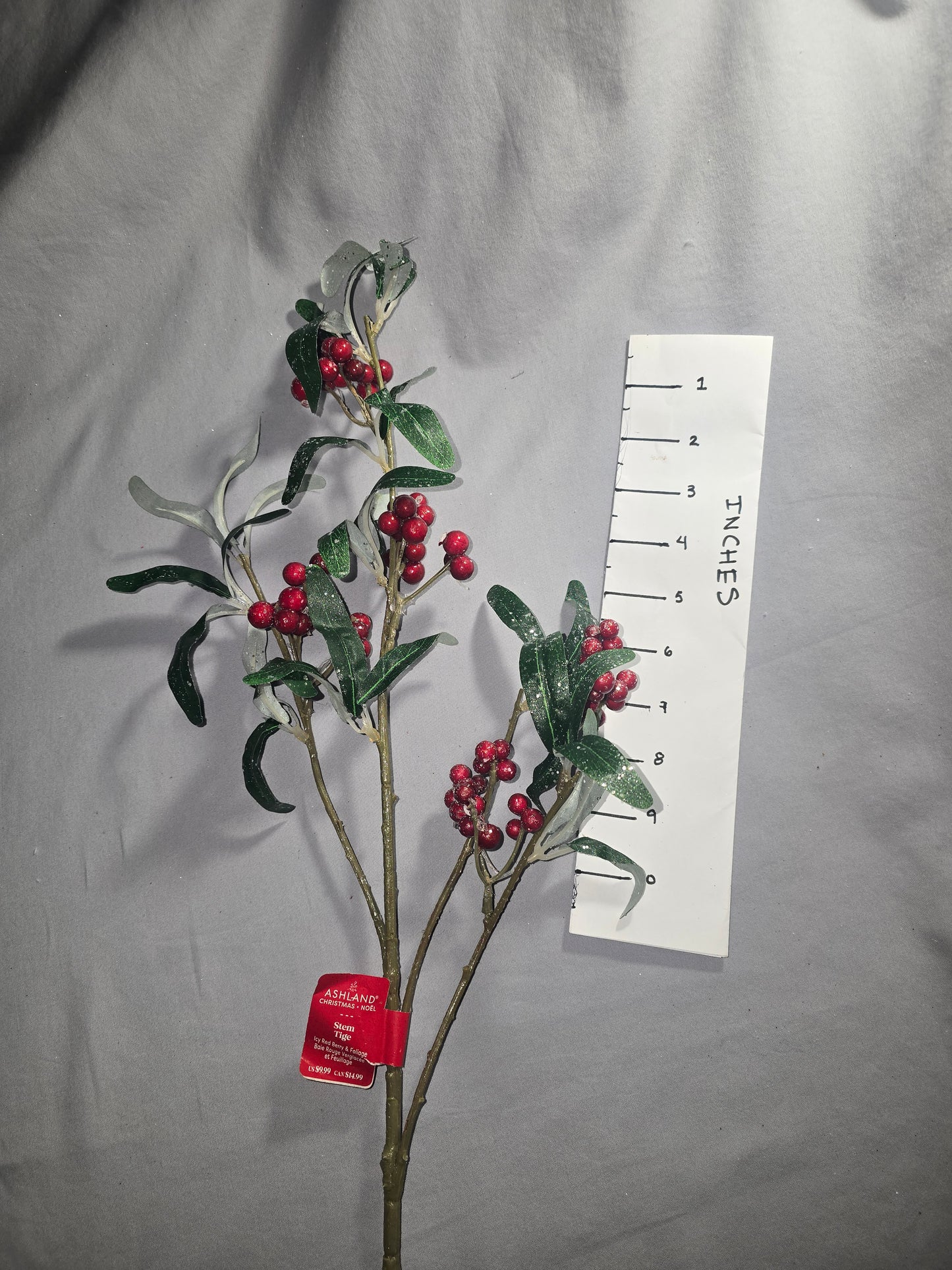 Ashland Icey Red Berry Stem