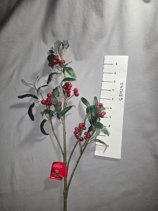 Ashland Icey Red Berry Stem