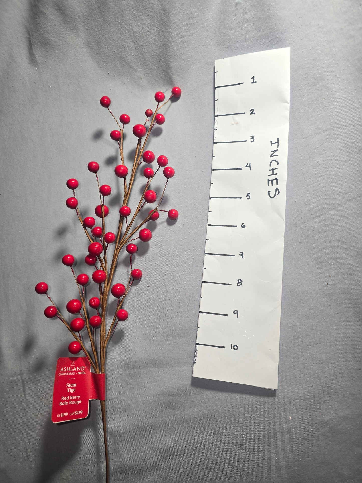 Ashland Red Berry Stem